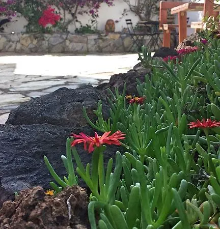 Holiday home Casa Esmeralda Tenerife *