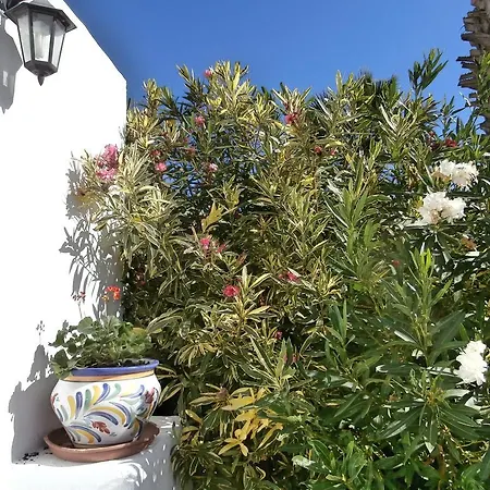 Дом отдыха Casa Esmeralda Tenerife Сан-Исидро